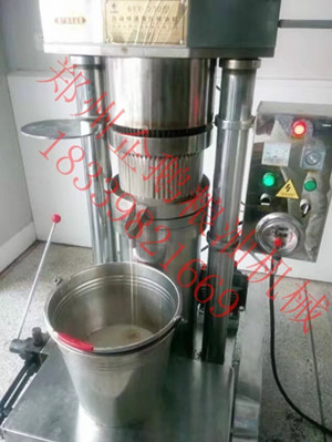 想開小油坊？卻不知道怎么選榨油機設備(圖1)