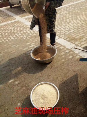 菜籽種植區(qū)不同，用的榨油機(jī)一樣嗎(圖1)