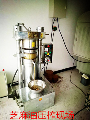 新買的榨油機設(shè)備磨合期應(yīng)該怎么操作(圖1) 新買的榨油機設(shè)備磨合期應(yīng)該怎么操作(圖1)