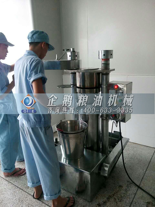 香油生產(chǎn)線